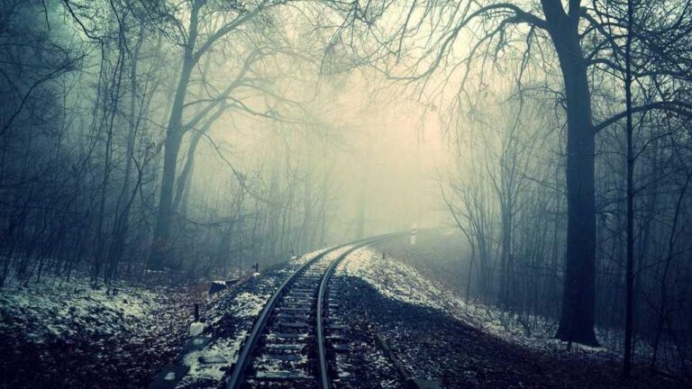 How To Play Games On Cricbet99.Com?